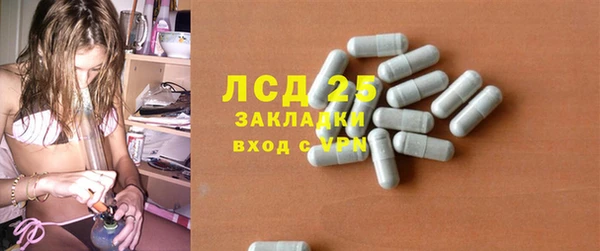 молекула духа Ельня