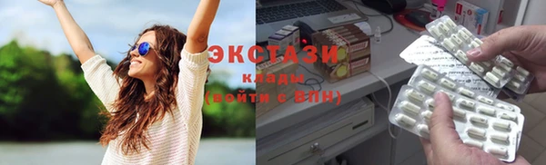 молекула духа Ельня