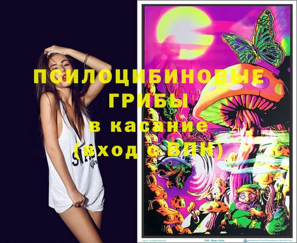 стафф Заволжск