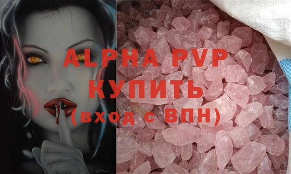 стаф Елабуга