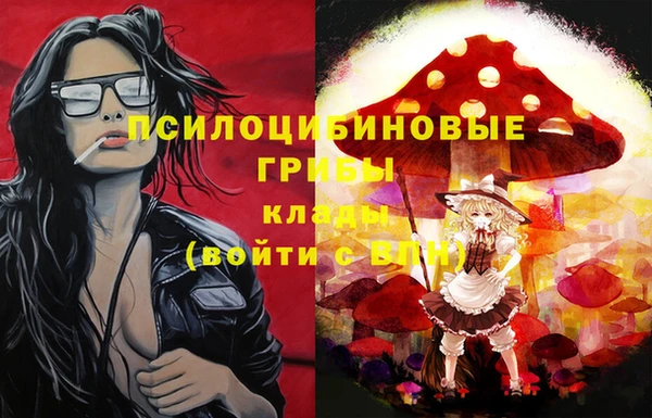 стаф Елабуга