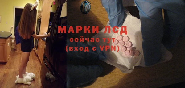стаф Елабуга