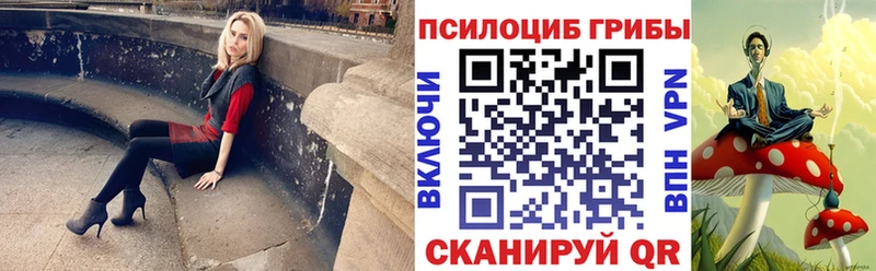 Псилоцибиновые грибы Psilocybe Шенкурск